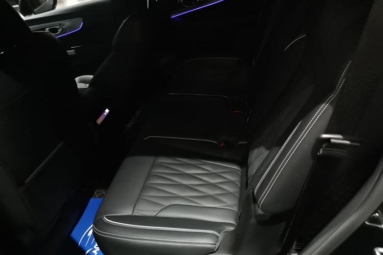 Used GAC Trumpchi GS8 2024 Linghang Series 2.0 TGDI Two-Wheel Drive Luxury Smart Connectivity Version Left Rear Seat