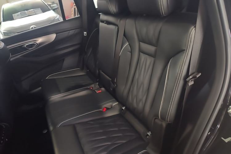 Used GAC Trumpchi GS8 2024 Linghang Series 2.0 TGDI Two-Wheel Drive Luxury Smart Connectivity Version Left Rear Seat