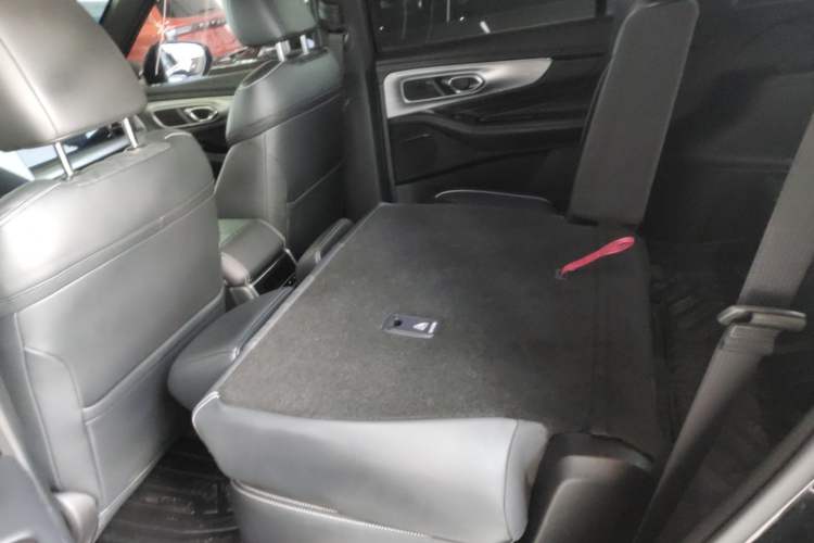 Used GAC Trumpchi GS8 2024 Linghang Series 2.0 TGDI Two-Wheel Drive Luxury Smart Connectivity Version Left Rear Seat
