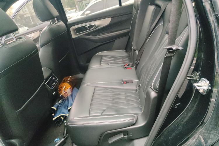 Used GAC Trumpchi GS8 2024 Linghang Series 2.0 TGDI Two-Wheel Drive Luxury Smart Connectivity Version Left Rear Seat