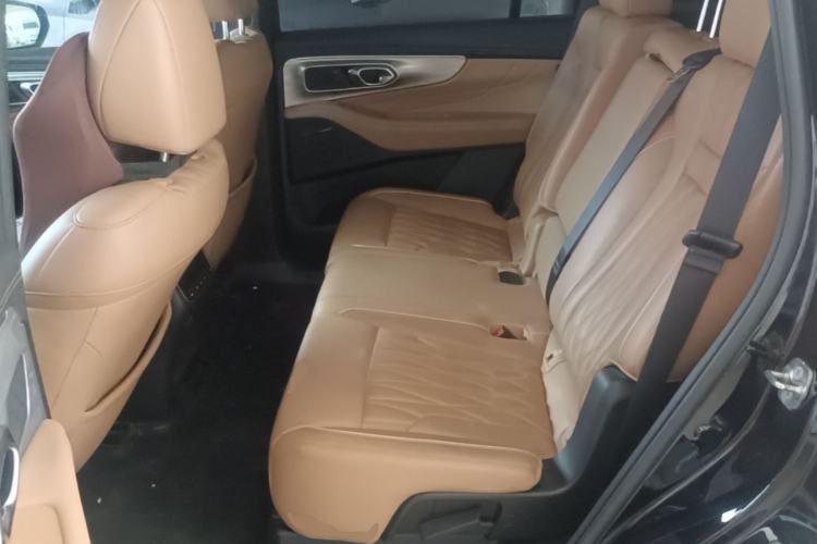 Used GAC Trumpchi GS8 2024 Linghang Series 2.0 TGDI Two-Wheel Drive Luxury Smart Connectivity Version Left Rear Seat