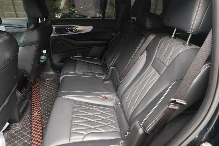 Used GAC Trumpchi GS8 2024 Linghang Series 2.0 TGDI Two-Wheel Drive Luxury Smart Connectivity Version Left Rear Seat