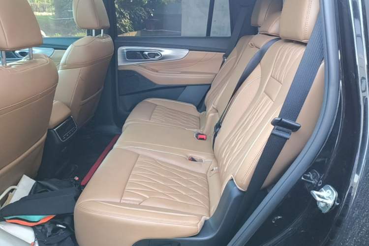 Used GAC Trumpchi GS8 2024 Linghang Series 2.0 TGDI Two-Wheel Drive Luxury Smart Connectivity Version Left Rear Seat