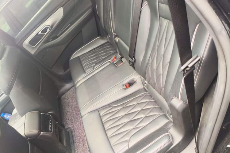 Used GAC Trumpchi GS8 2024 Linghang Series 2.0 TGDI Two-Wheel Drive Luxury Smart Connectivity Version Left Rear Seat