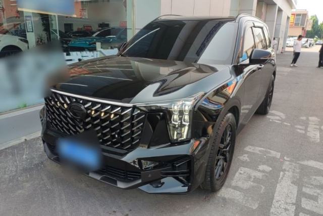 Used GAC Trumpchi GS8 2024 Linghang Series 2.0 TGDI Two-Wheel Drive Luxury Smart Connectivity Version