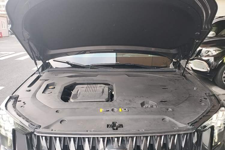 Used GAC Trumpchi GS8 2024 Dual-Motor Series 2.0TM Two-Wheel Drive Premium Edition Engine Bay