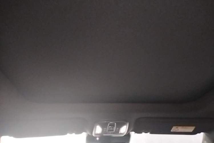 Used GAC Trumpchi GS8 2024 Dual-Motor Series 2.0TM Two-Wheel Drive Premium Edition Headliner