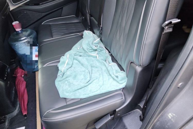 Used GAC Trumpchi GS8 2024 Dual-Motor Series 2.0TM Two-Wheel Drive Premium Edition Left Rear Seat