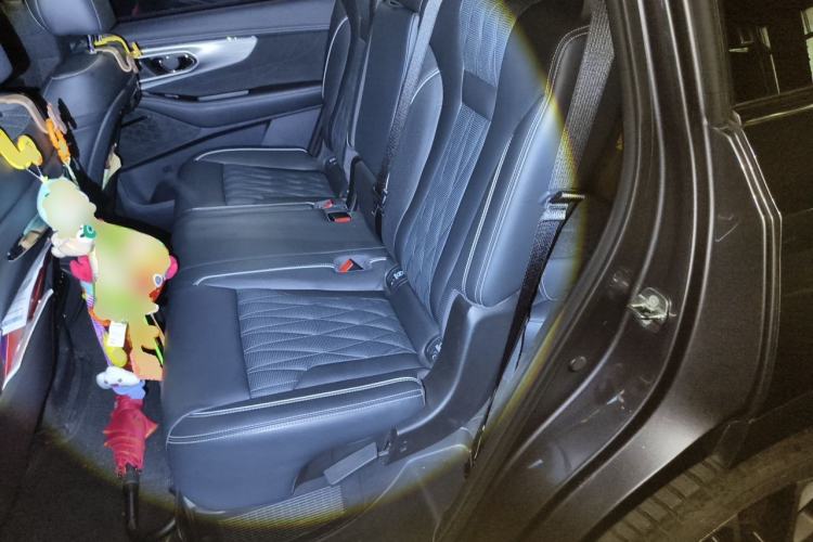 Used GAC Trumpchi GS8 2024 Dual-Motor Series 2.0TM Two-Wheel Drive Premium Edition Left Rear Seat