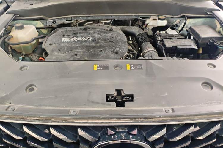 Used GAC Trumpchi GS8 2024 Linghang Series 2.0 TGDI Two-Wheel Drive Luxury Smart Connectivity Version Engine Bay
