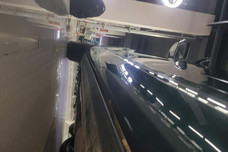 Used GAC Trumpchi GS8 2024 Dual-Motor Series 2.0TM Four-Wheel Drive Premium Edition Left Side Sill