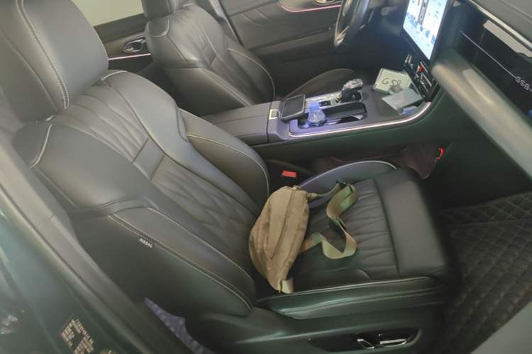 Used GAC Trumpchi GS8 2024 Linghang Series 2.0 TGDI Two-Wheel Drive Luxury Smart Connectivity Version Right Front Seat