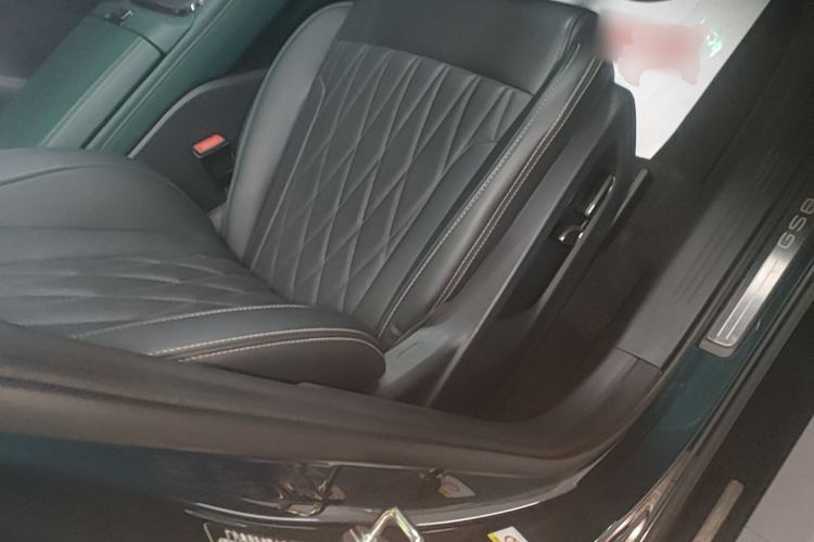 Used GAC Trumpchi GS8 2024 Dual-Motor Series 2.0TM Four-Wheel Drive Premium Edition Right Front Seat