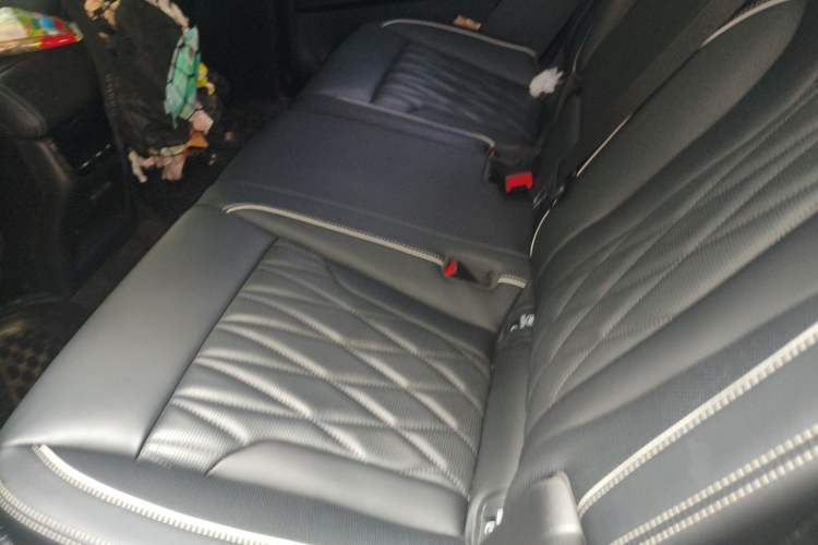 Used GAC Trumpchi GS8 2024 Dual-Motor Series 2.0TM Two-Wheel Drive Premium Edition Left Rear Seat
