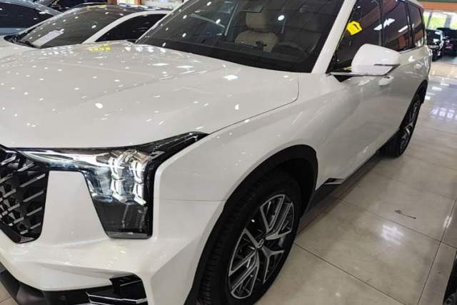 Used GAC Trumpchi GS8 2024 Linghang Series 2.0 TGDI Two-Wheel Drive Luxury Smart Connectivity Version