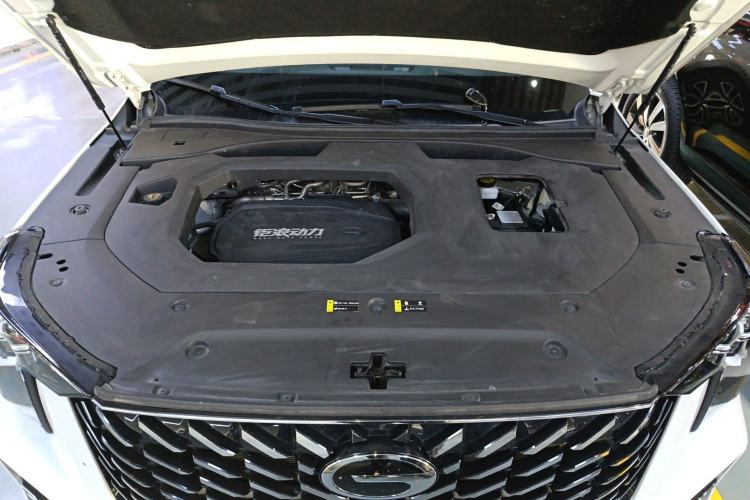 Used GAC Trumpchi GS8 2024 Linghang Series 2.0 TGDI Two-Wheel Drive Luxury Smart Connectivity Version Engine Bay