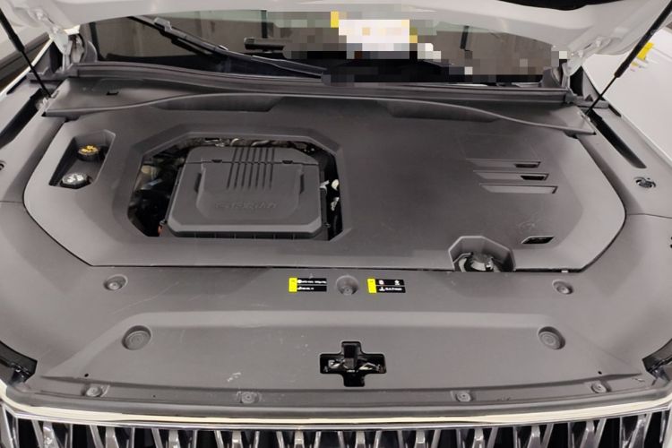 Used GAC Trumpchi GS8 2024 Dual-Motor Series 2.0TM Two-Wheel Drive Premium Edition Engine Bay