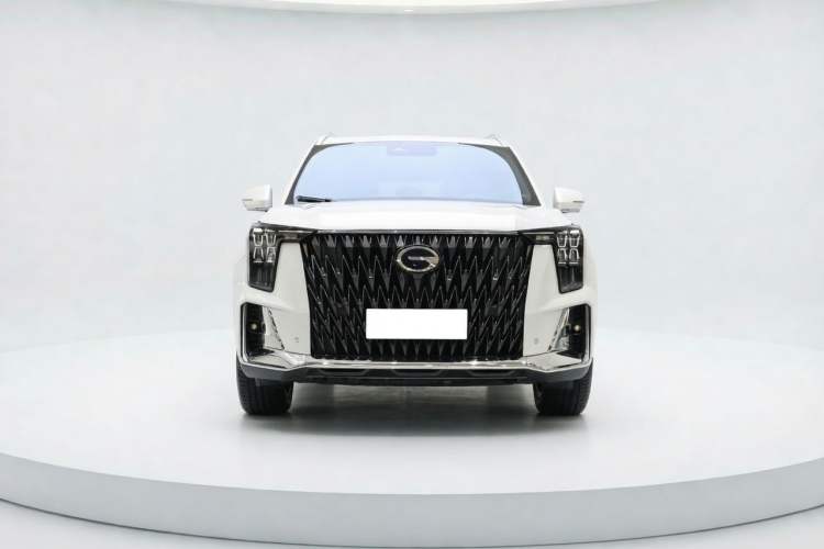 Used GAC Trumpchi GS8 2024 Dual-Motor Series 2.0TM Two-Wheel Drive Premium Edition Exterior 1