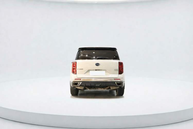Used GAC Trumpchi GS8 2024 Dual-Motor Series 2.0TM Two-Wheel Drive Premium Edition Exterior 5