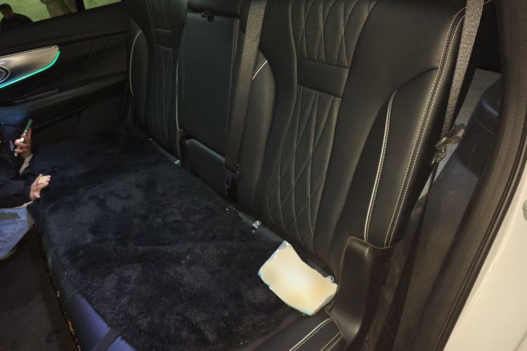 Used GAC Trumpchi GS8 2024 Linghang Series 2.0 TGDI Two-Wheel Drive Luxury Smart Connectivity Version Left Rear Seat