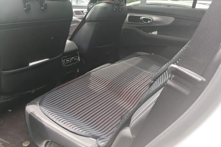 Used GAC Trumpchi GS8 2024 Linghang Series 2.0 TGDI Two-Wheel Drive Luxury Smart Connectivity Version Left Rear Seat