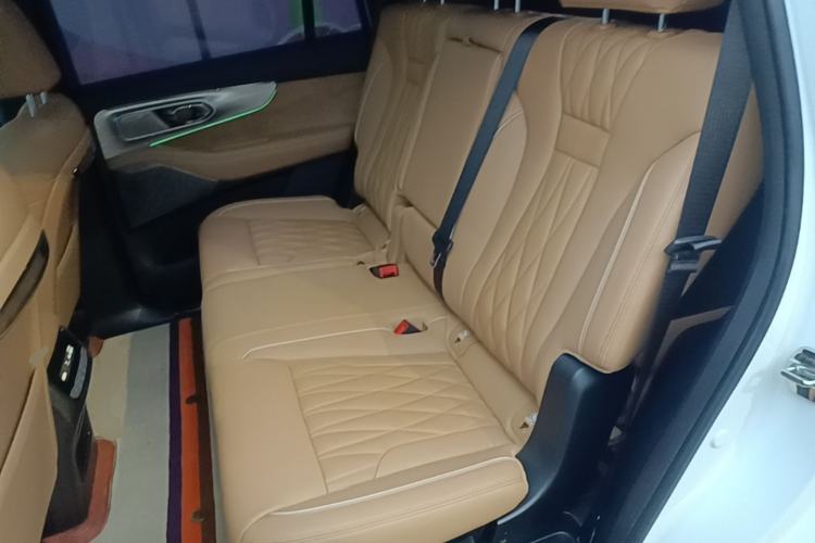 Used GAC Trumpchi GS8 2024 Dual-Motor Series 2.0TM Two-Wheel Drive Premium Edition Left Rear Seat
