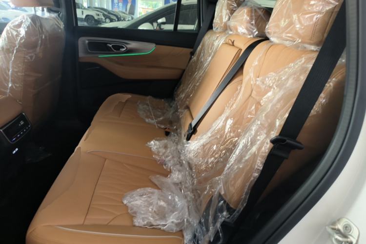 Used GAC Trumpchi GS8 2024 Linghang Series 2.0 TGDI Two-Wheel Drive Luxury Smart Connectivity Version Left Rear Seat