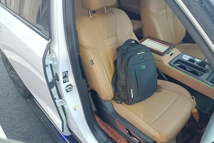 Used GAC Trumpchi GS8 2024 Dual-Motor Series 2.0TM Two-Wheel Drive Premium Edition Right Front Seat