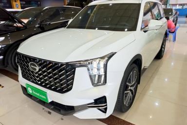 Used GAC Trumpchi GS8 2024 Linghang Series 2.0 TGDI Two-Wheel Drive Luxury Smart Connectivity Version