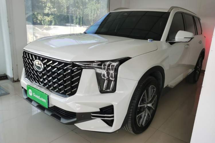 GAC Trumpchi GS8 2024 Linghang Series 2.0 TGDI Two-Wheel Drive Luxury Smart Connectivity Version