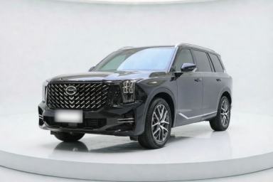 Used GAC Trumpchi GS8 2025 Linghang Series 2.0 TGDI Two-Wheel-Drive Luxury Edition 5 Seats