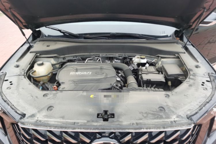Used GAC Trumpchi GS8 2025 Linghang Series 2.0 TGDI Four-Wheel-Drive Luxury Edition 5 Seats Engine Bay