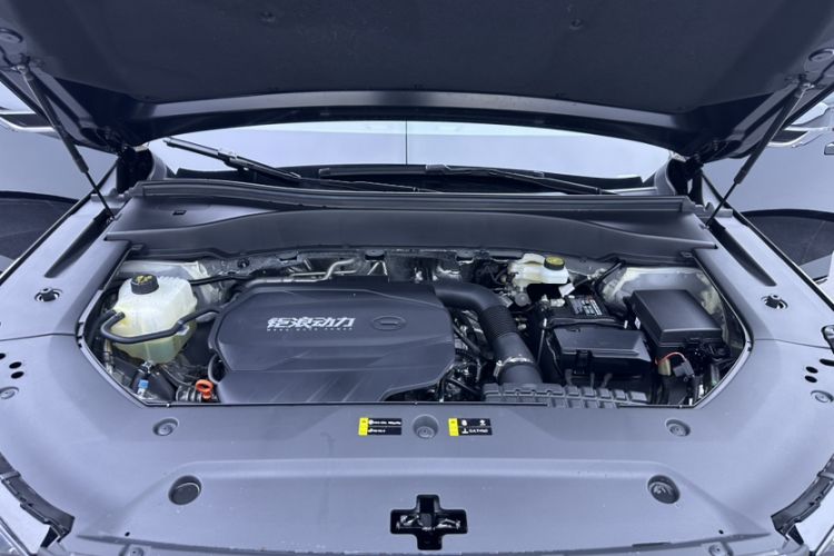 Used GAC Trumpchi GS8 2025 Linghang Series 2.0 TGDI Two-Wheel-Drive Luxury Edition 5 Seats Engine Bay
