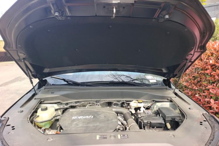 Used GAC Trumpchi GS8 2025 Linghang Series 2.0 TGDI Two-Wheel-Drive Luxury Edition 5 Seats Engine Bay