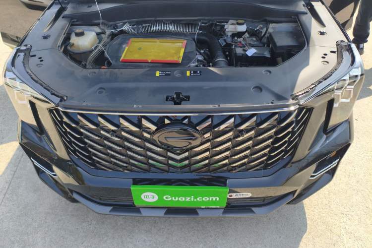Used GAC Trumpchi GS8 2025 Linghang Series 2.0 TGDI Two-Wheel-Drive Luxury Edition 5 Seats Engine Bay