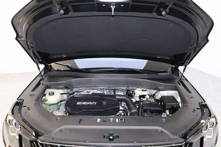 Used GAC Trumpchi GS8 2025 Linghang Series 2.0 TGDI Two-Wheel-Drive Luxury Edition 5 Seats Engine Bay