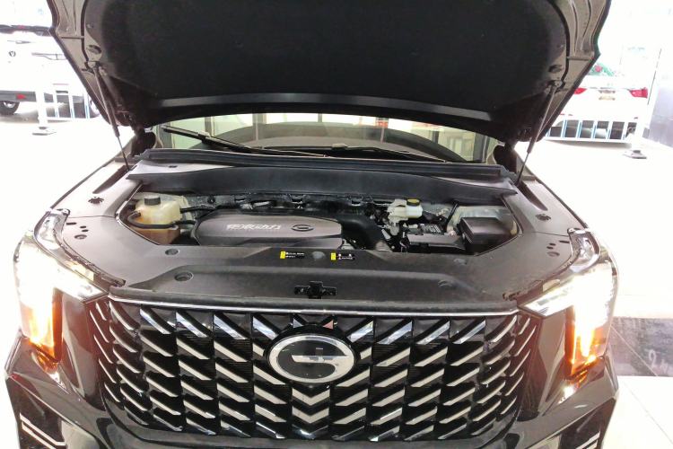 Used GAC Trumpchi GS8 2025 Linghang Series 2.0 TGDI Two-Wheel-Drive Luxury Edition 5 Seats Engine Bay