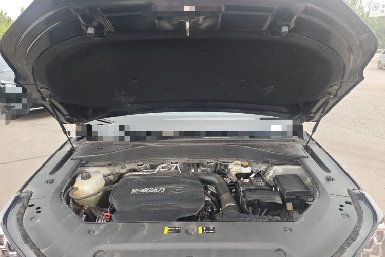 Used GAC Trumpchi GS8 2025 Linghang Series 2.0 TGDI Two-Wheel-Drive Luxury Edition 5 Seats Engine Bay
