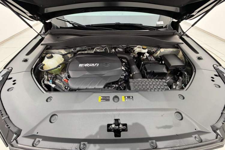 Used GAC Trumpchi GS8 2025 Linghang Series 2.0 TGDI Two-Wheel-Drive Luxury Edition 5 Seats Engine Bay