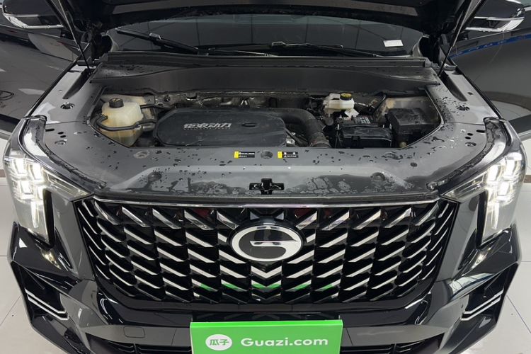 Used GAC Trumpchi GS8 2025 Linghang Series 2.0 TGDI Two-Wheel-Drive Luxury Edition 5 Seats Engine Bay