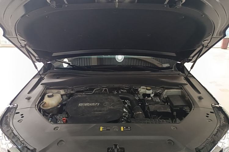 Used GAC Trumpchi GS8 2025 Linghang Series 2.0 TGDI Two-Wheel-Drive Luxury Edition 5 Seats Engine Bay