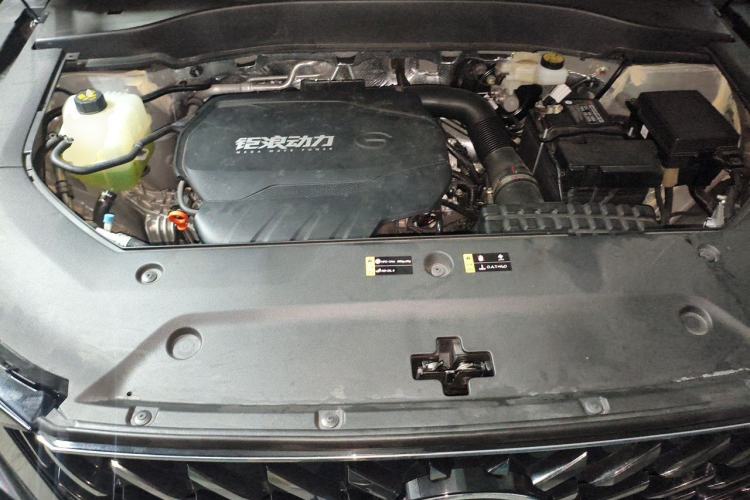 Used GAC Trumpchi GS8 2025 Linghang Series 2.0 TGDI Two-Wheel-Drive Luxury Edition 5 Seats Engine Bay