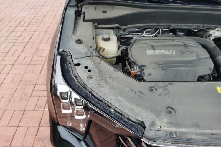 Used GAC Trumpchi GS8 2025 Linghang Series 2.0 TGDI Four-Wheel-Drive Luxury Edition 5 Seats Engine Bay Right