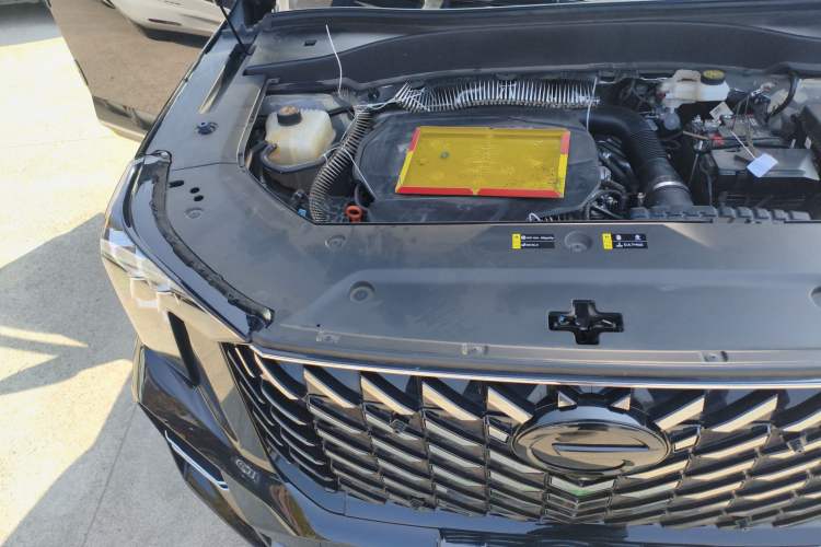 Used GAC Trumpchi GS8 2025 Linghang Series 2.0 TGDI Two-Wheel-Drive Luxury Edition 5 Seats Engine Bay Right