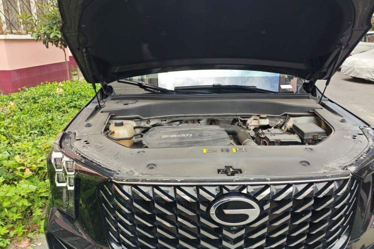 Used GAC Trumpchi GS8 2025 Linghang Series 2.0 TGDI Two-Wheel-Drive Luxury Edition 5 Seats Engine Bay Right