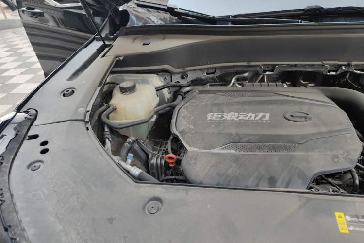 Used GAC Trumpchi GS8 2025 Linghang Series 2.0 TGDI Two-Wheel-Drive Luxury Edition 5 Seats Engine Bay Right