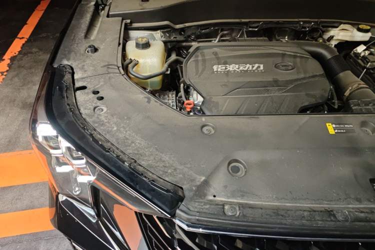 Used GAC Trumpchi GS8 2025 Linghang Series 2.0 TGDI Two-Wheel-Drive Luxury Edition 5 Seats Engine Bay Right