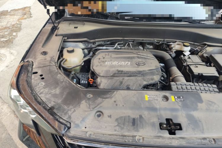 Used GAC Trumpchi GS8 2025 Linghang Series 2.0 TGDI Two-Wheel-Drive Luxury Edition 5 Seats Engine Bay Right