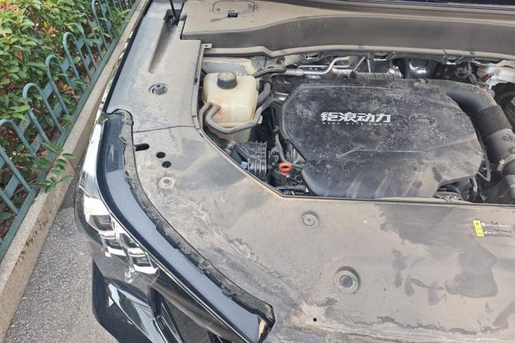 Used GAC Trumpchi GS8 2025 Linghang Series 2.0 TGDI Two-Wheel-Drive Luxury Edition 5 Seats Engine Bay Right