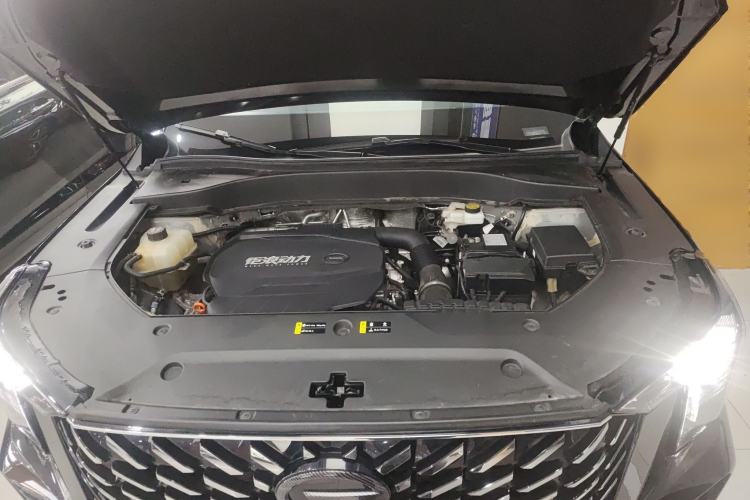 Used GAC Trumpchi GS8 2025 Linghang Series 2.0 TGDI Two-Wheel-Drive Luxury Edition 5 Seats Engine Bay